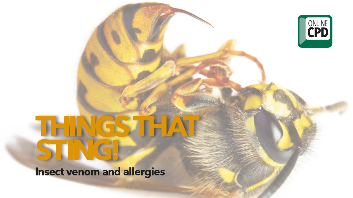 things that sting dr andrew whyte things that sting dr andrew whyte